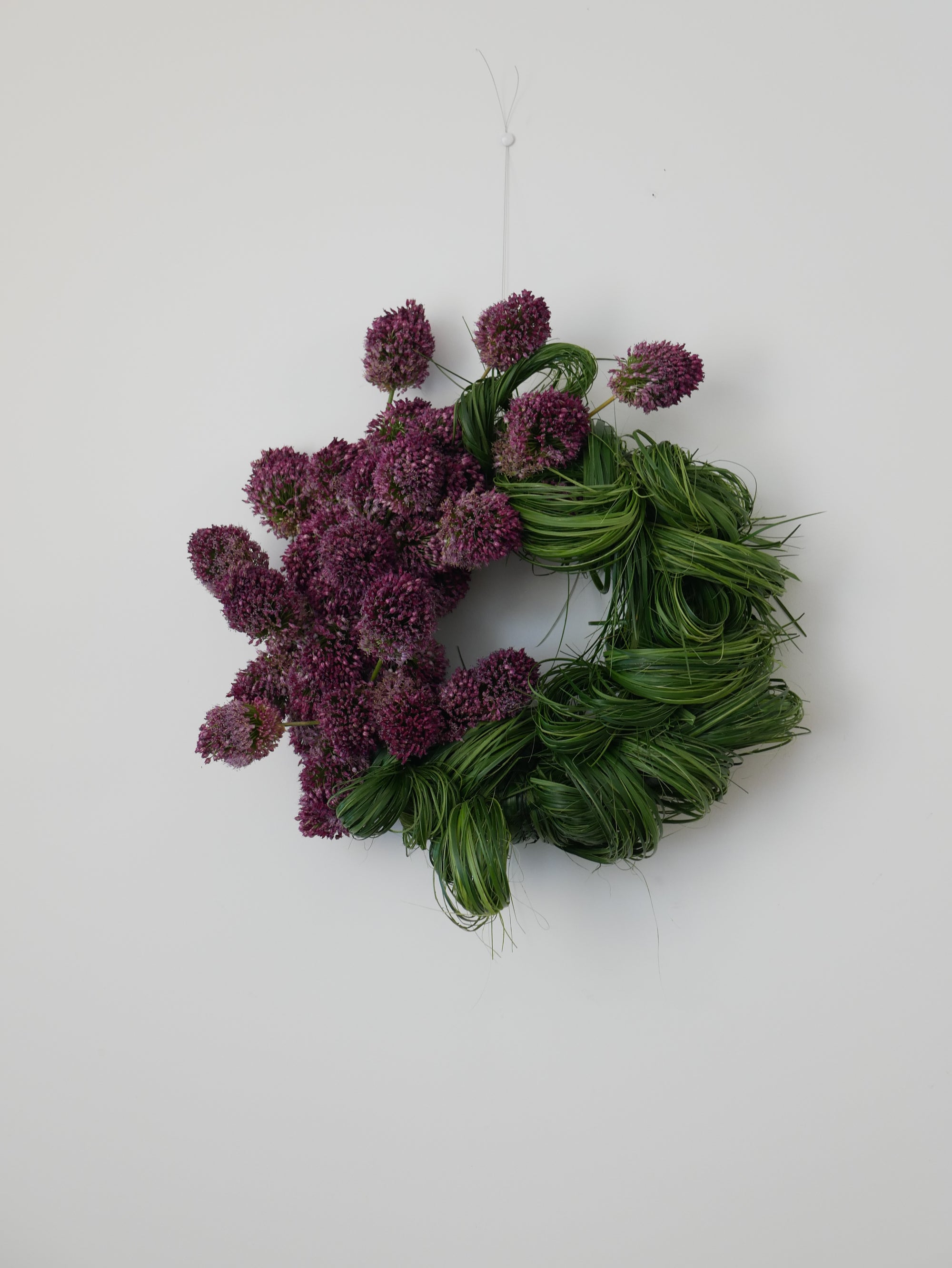 Botanical Velvet