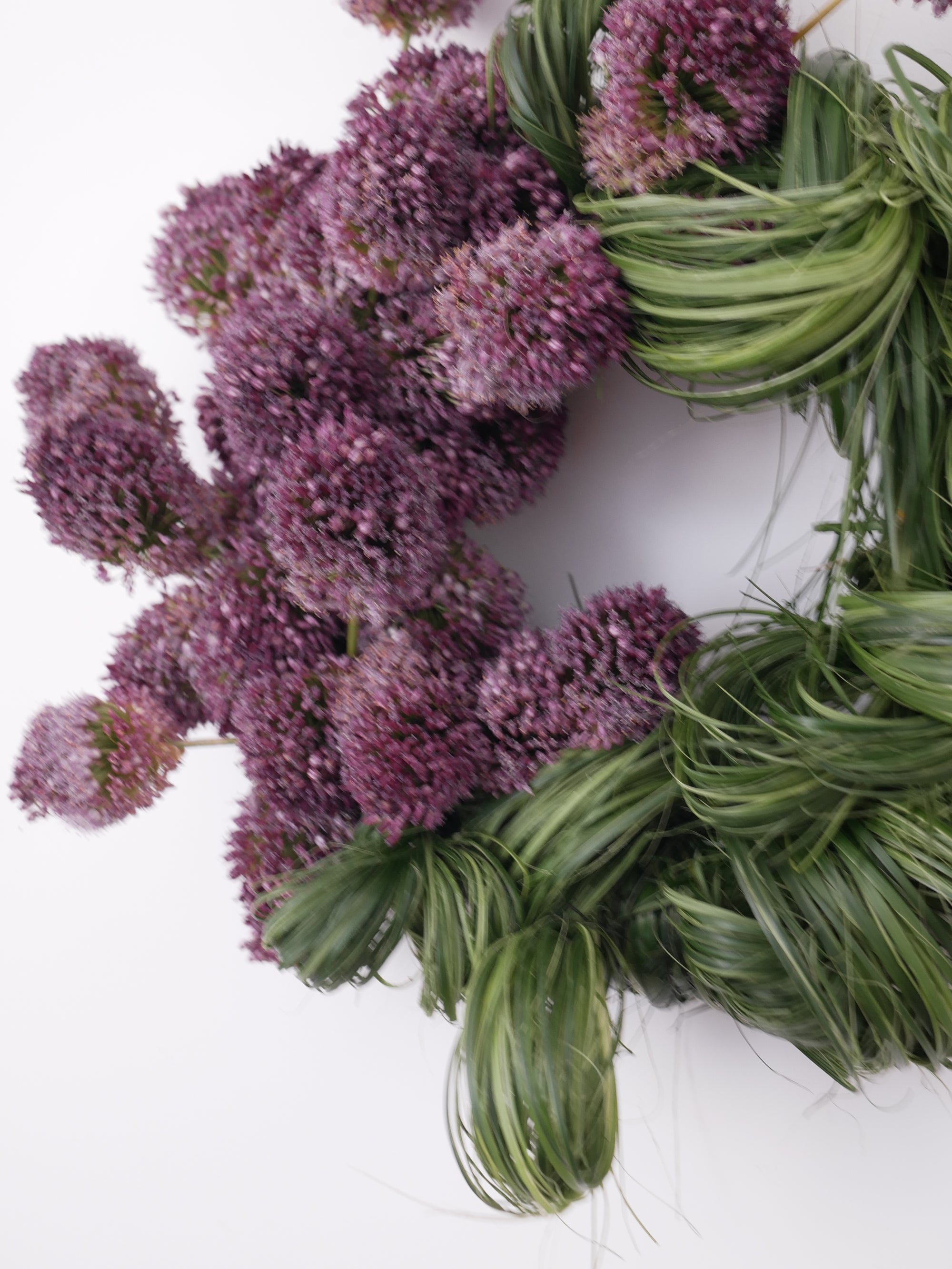 Botanical Velvet